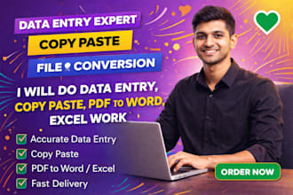 do data entry in excel,word,copy paste,PDF to word,and excel