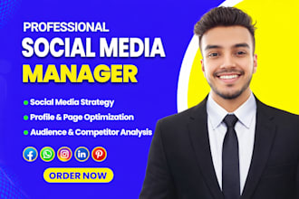 be your best social media manager and meta expert