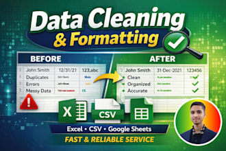 do professional data cleaning data processing excel and database files