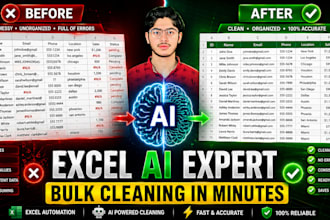 do expert excel data entry and cleaning using ai