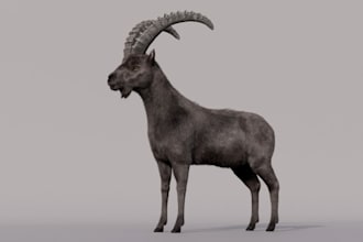 3d bovid animal for animation, realistic 3d rig, fur and texture, zbrush sculpt