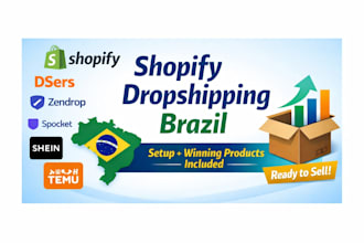 build shopify dropshipping store for brazil winning products local suppliers