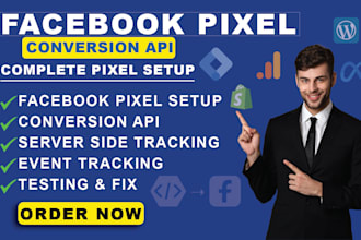 professionally set up meta pixel and conversion API