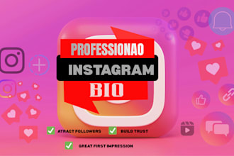 create a professional and high converting instagram bio for your brand