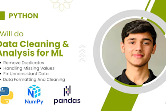 do data cleaning and analysis