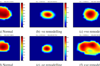 develop an image processing solution in matlab python opencv