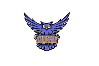 design a modern and professional owl logo for your business
