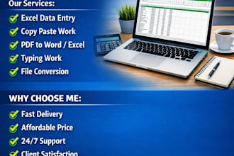 provide professional data entry and excel services