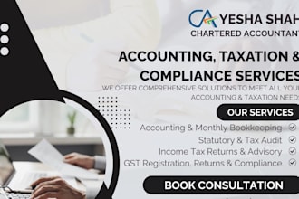 provide expert itr filing and tax consultation india