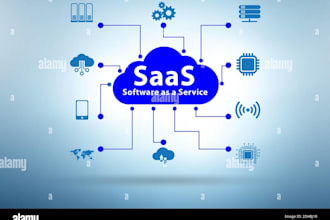 develop a custom saas platform with admin panel