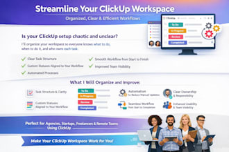 organize clickup tasks statuses automations and team responsibilities