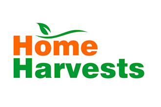 design a clean and natural home garden logo