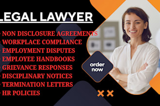 manage employment disputes, and write HR documents, policies, handbooks and nda
