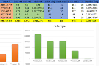 create a professional excel sales dashboard