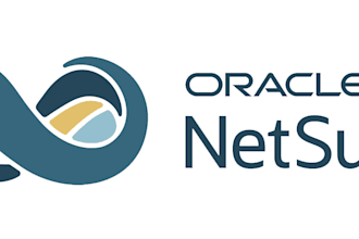 carryout netsuite functional consultancy and customisation