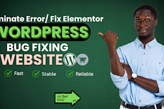 fix wordpress errors, elementor bugs, plugin conflicts and speed issues