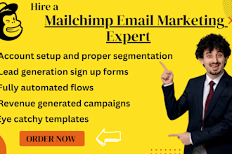 provide effective mailchimp email campaigns to boost revenue