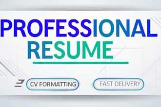 professionally format your resume or CV in word or PDF