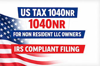 prepare US 1040nr tax return and llc taxes for non resident foreigners