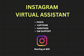 manage your instagram account professionally as a virtual assistant
