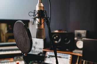 female hip hop singer, female songwriter, music producer, rock singer, lyricist