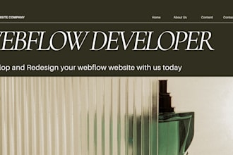 design high converting webflow landing pages and professional website builds