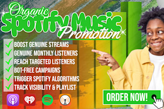 do organic spotify music promotion via targeted google ads and playlist pitching
