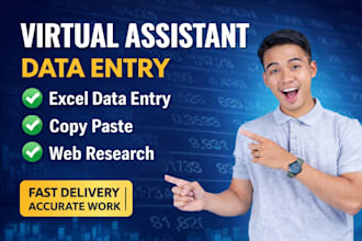 do professional data entry and excel data entry services