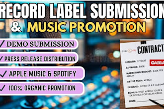 record label submission and organic spotify music promotion