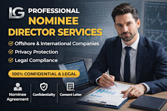 provide professional nominee director service
