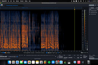 remove background noise from your recording