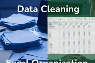 data entry and organization specialist