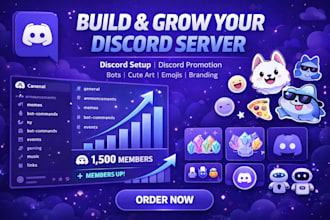 do discord setup, discord server promotion, bots, emojis logo cute art branding