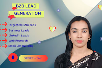 b2b lead data miner and data collection 24 hour