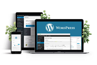 create divi wordpress website,divi website design or redesign with divi theme