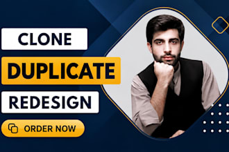 clone, duplicate, redesign shopify store design