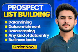 prospect list building data mining and data enrichment