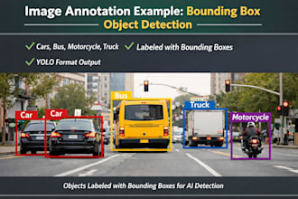 provide accurate data annotation for ai and ml projects