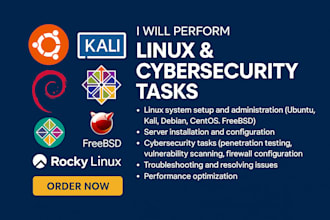 do cyber security assignments and documentation