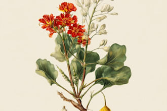 create a botanical illustration based on your idea