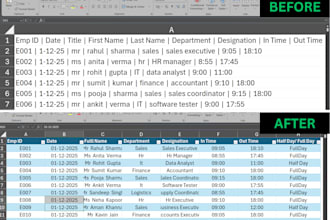 clean and format your messy excel data professionally