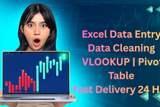 do excel data analysis, dashboard and data cleaning