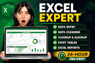 do excel data analysis, dashboard and data cleaning