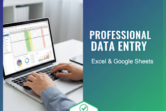 do professional data entry and excel projects