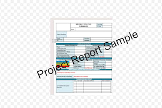 create complete project documentation package with reports, schedule, risk log