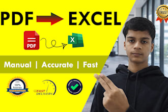 convert PDF to excel manually with 100 percent accuracy