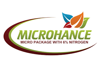 do eco friendly landscape and lawn care service logo design
