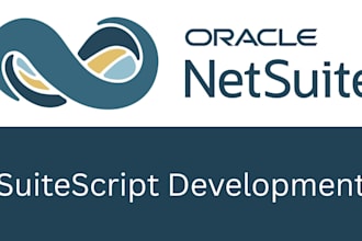 build netsuite customizations using suitescript
