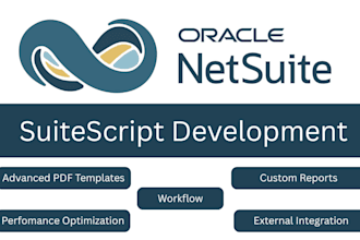 build netsuite customizations using suitescript