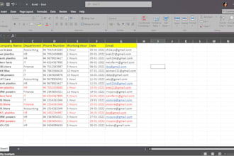 provide accurate data entry, data management , excel, google sheets, CRM, CSV
